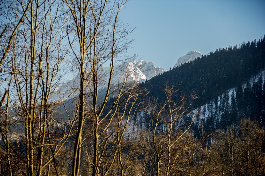 Dolina Resort Zakopane Kościelisko Chambre photo